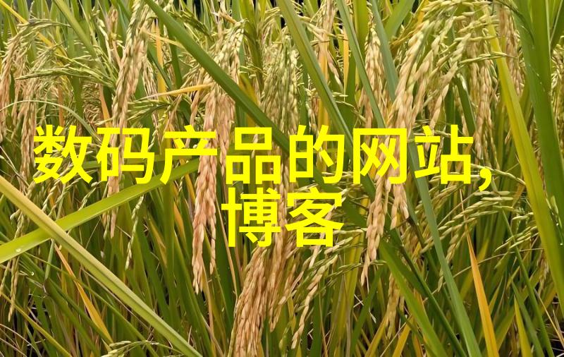 苏州安泰I2