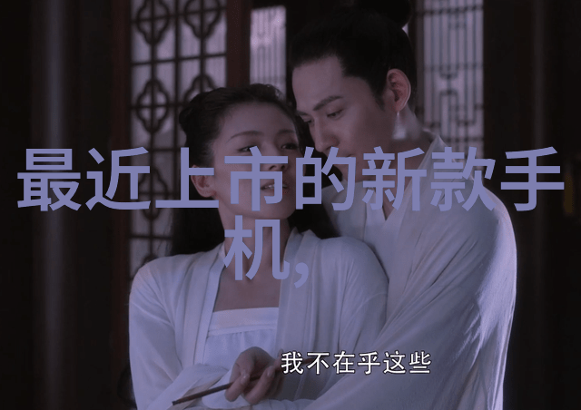 WSB-2-H1测范围-50 70高精度数显温湿度计