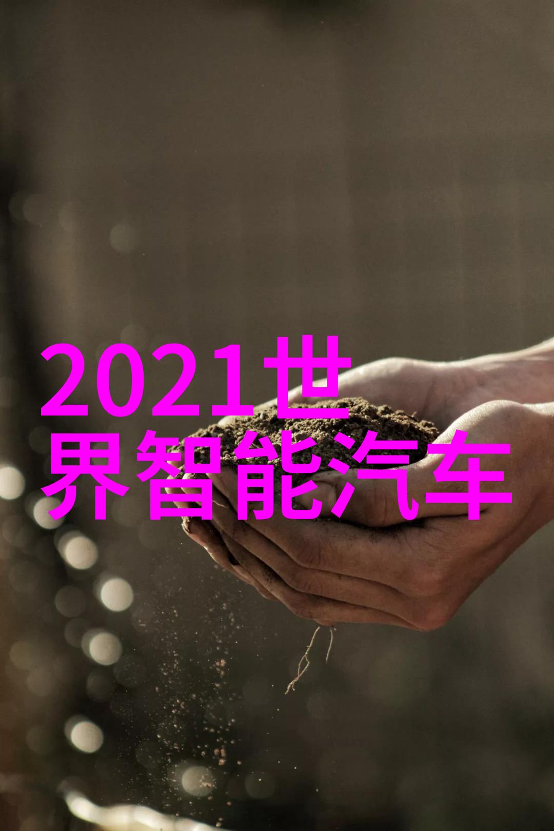 腰轮流量计
