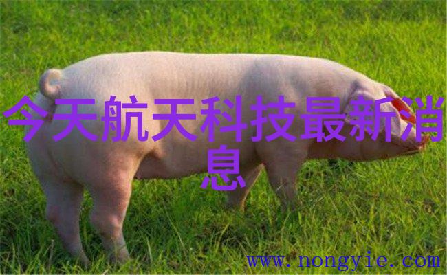 供应嘉善风淋通道