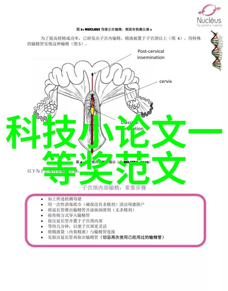 电动轮椅车疲劳试验机 操作简单易学