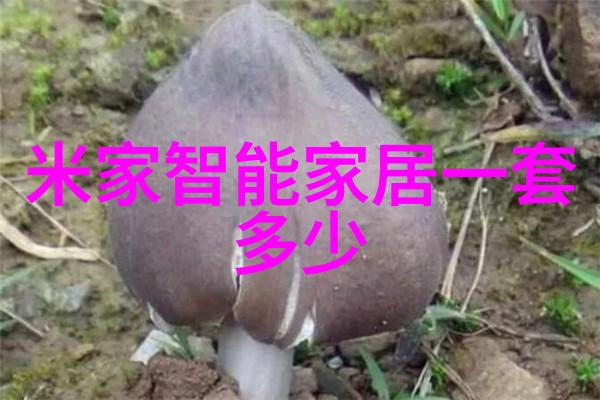 英国SHAW便携式仪SADP-D-P