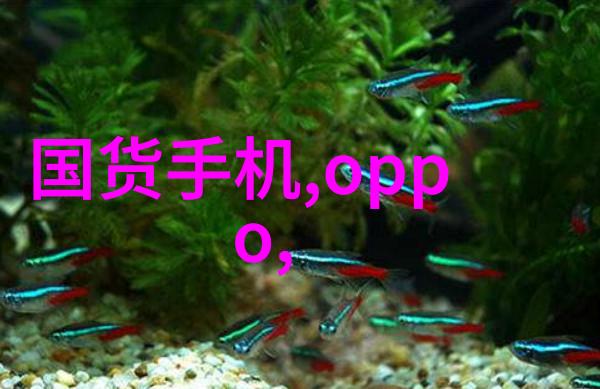 WZZ-1自动指示旋光仪