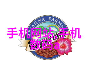 氮气压力表(Y-60)